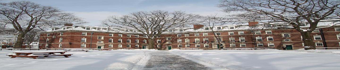 Williams College banner